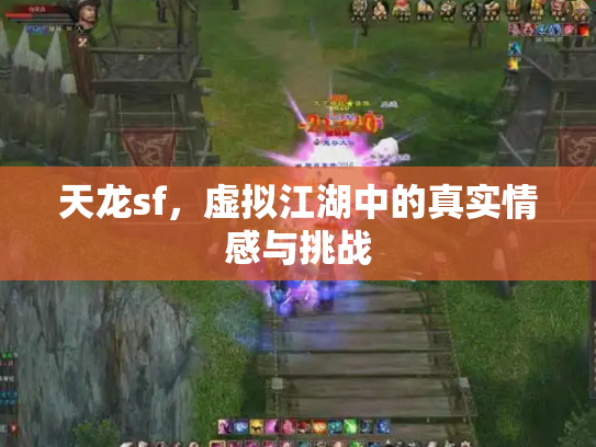 天龙sf，虚拟江湖中的真实情感与挑战