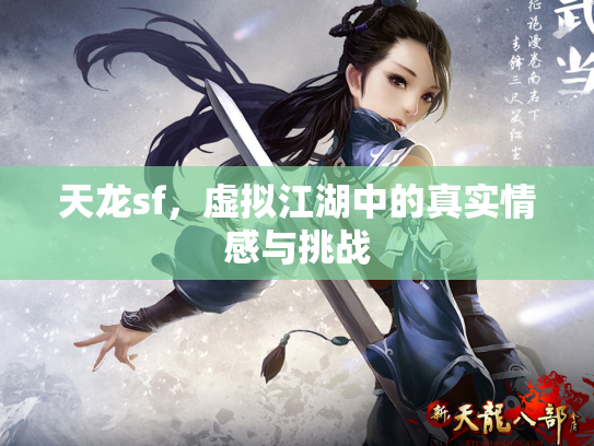 天龙sf，虚拟江湖中的真实情感与挑战