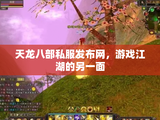 天龙八部私服发布网，游戏江湖的另一面