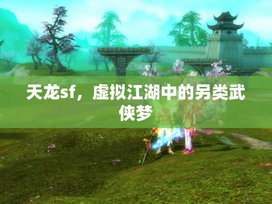 天龙sf，虚拟江湖中的另类武侠梦