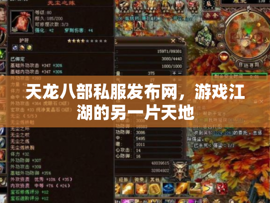 天龙八部私服发布网，游戏江湖的另一片天地