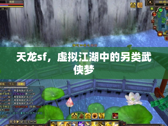 天龙sf，虚拟江湖中的另类武侠梦