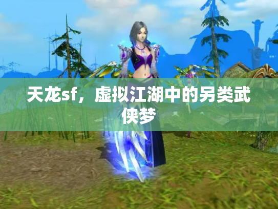 天龙sf，虚拟江湖中的另类武侠梦