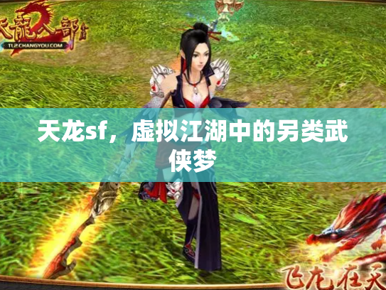 天龙sf，虚拟江湖中的另类武侠梦