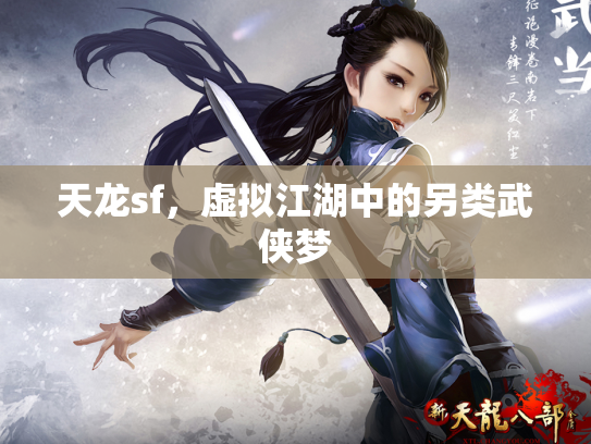 天龙sf，虚拟江湖中的另类武侠梦