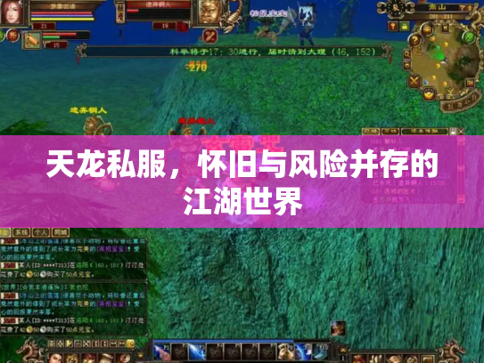 天龙私服，怀旧与风险并存的江湖世界