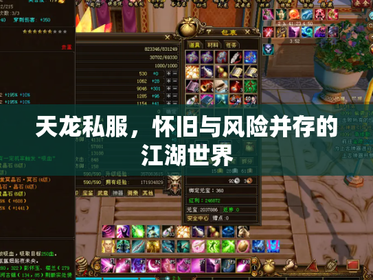 天龙私服，怀旧与风险并存的江湖世界