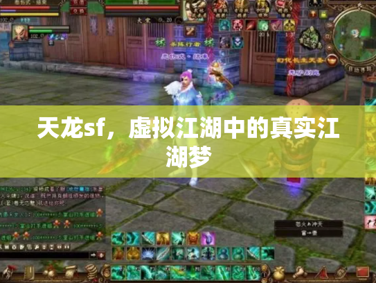 天龙sf，虚拟江湖中的真实江湖梦