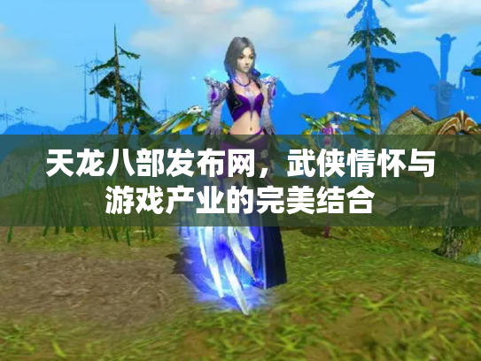 天龙八部发布网，武侠情怀与游戏产业的完美结合
