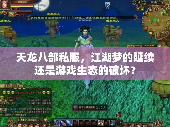 天龙八部私服，江湖梦的延续还是游戏生态的破坏？