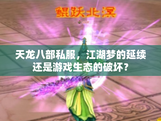天龙八部私服，江湖梦的延续还是游戏生态的破坏？