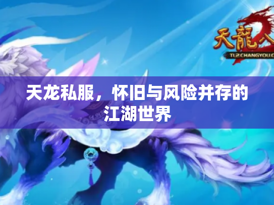 天龙私服，怀旧与风险并存的江湖世界