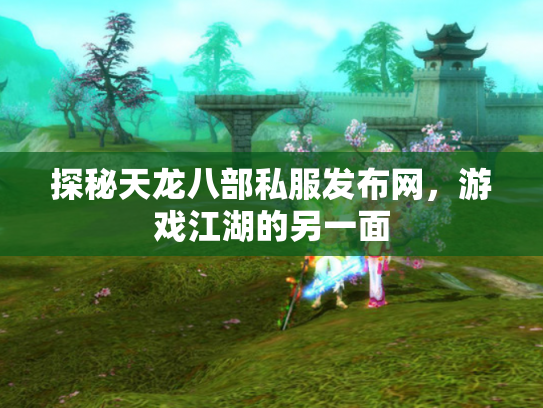 探秘天龙八部私服发布网，游戏江湖的另一面