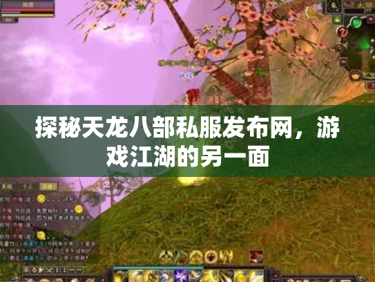 探秘天龙八部私服发布网，游戏江湖的另一面