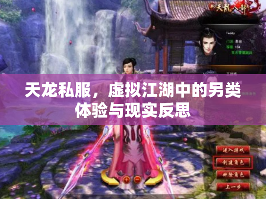 天龙私服，虚拟江湖中的另类体验与现实反思