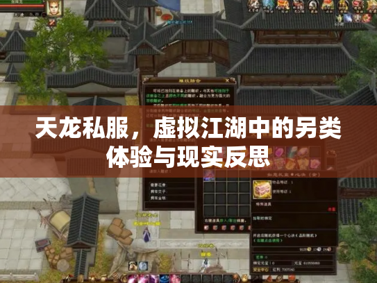 天龙私服，虚拟江湖中的另类体验与现实反思
