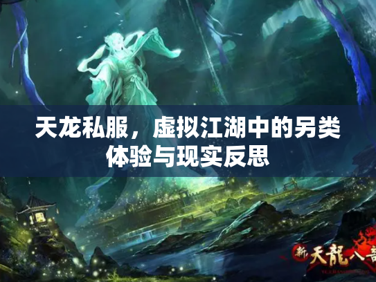 天龙私服，虚拟江湖中的另类体验与现实反思