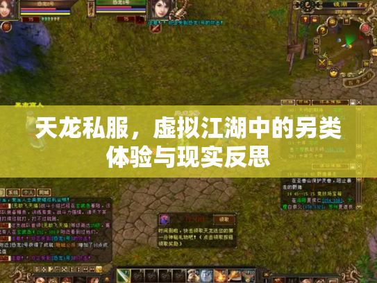 天龙私服，虚拟江湖中的另类体验与现实反思