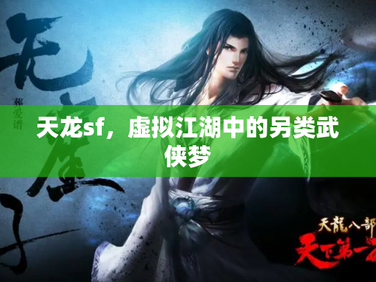 天龙sf，虚拟江湖中的另类武侠梦
