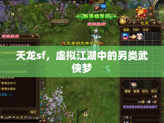 天龙sf，虚拟江湖中的另类武侠梦
