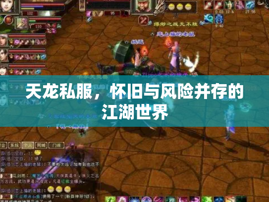 天龙私服，怀旧与风险并存的江湖世界