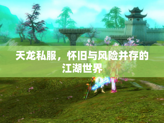 天龙私服，怀旧与风险并存的江湖世界