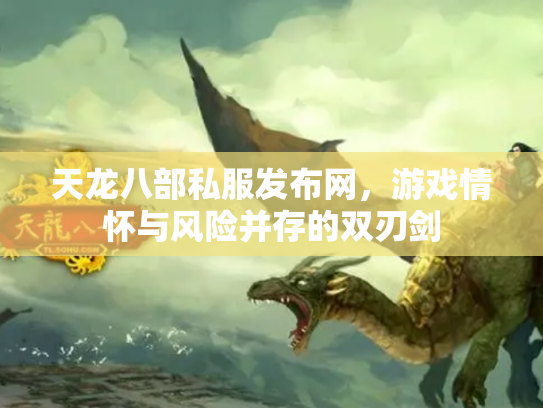 天龙八部私服发布网，游戏情怀与风险并存的双刃剑