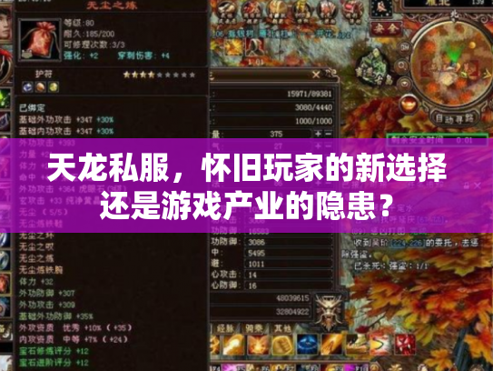 天龙私服，怀旧玩家的新选择还是游戏产业的隐患？