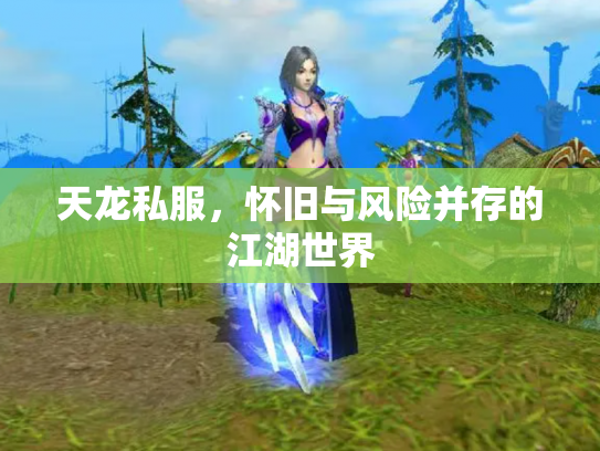 天龙私服，怀旧与风险并存的江湖世界