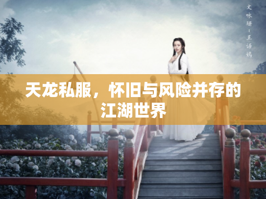 天龙私服，怀旧与风险并存的江湖世界