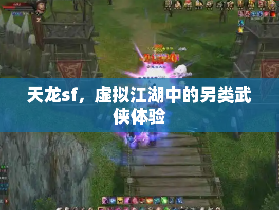 天龙sf，虚拟江湖中的另类武侠体验