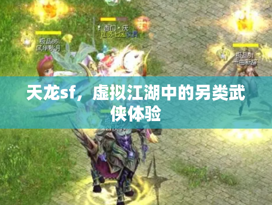 天龙sf，虚拟江湖中的另类武侠体验