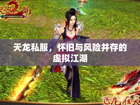 天龙私服，怀旧与风险并存的虚拟江湖
