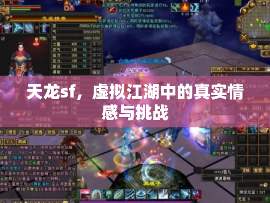 天龙sf，虚拟江湖中的真实情感与挑战