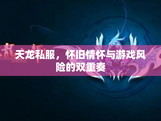 天龙私服，怀旧情怀与游戏风险的双重奏
