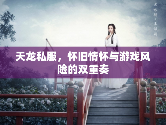 天龙私服，怀旧情怀与游戏风险的双重奏