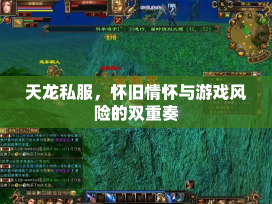天龙私服，怀旧情怀与游戏风险的双重奏