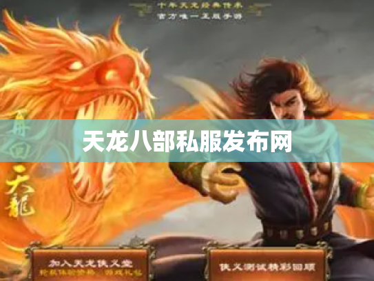 天龙八部私服发布网