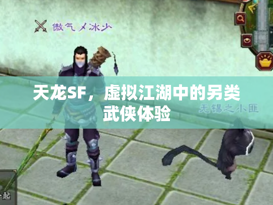 天龙SF，虚拟江湖中的另类武侠体验