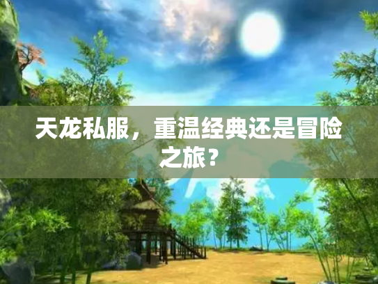 天龙私服，重温经典还是冒险之旅？