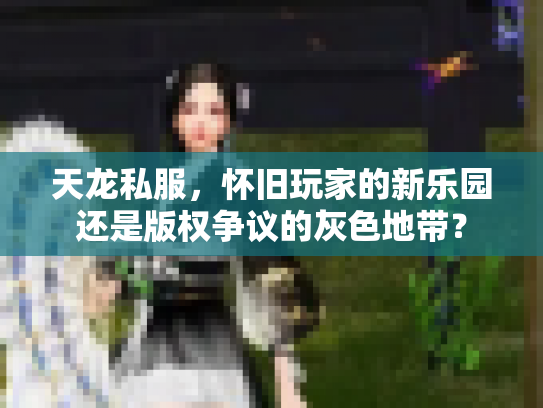 天龙私服，怀旧玩家的新乐园还是版权争议的灰色地带？