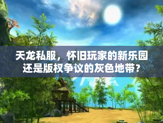 天龙私服，怀旧玩家的新乐园还是版权争议的灰色地带？