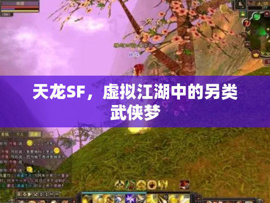 天龙SF，虚拟江湖中的另类武侠梦