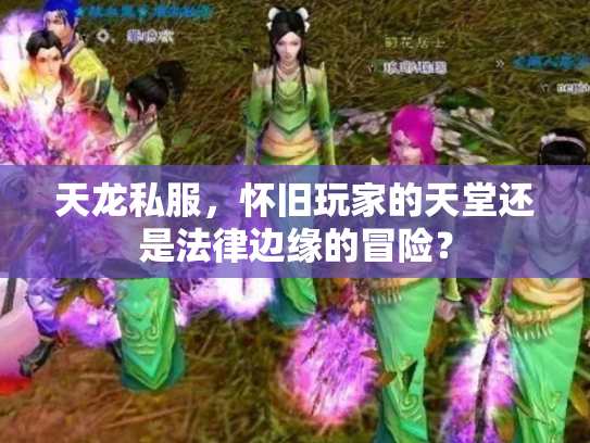 天龙私服，怀旧玩家的天堂还是法律边缘的冒险？