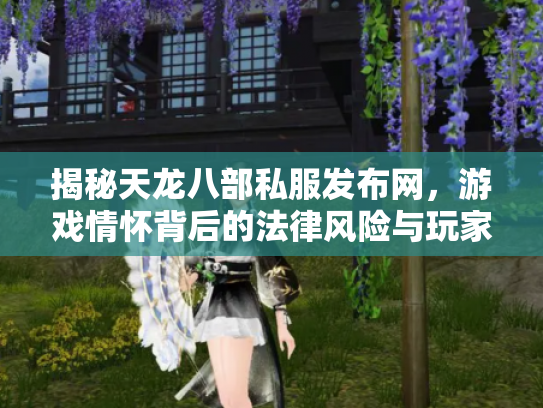 揭秘天龙八部私服发布网，游戏情怀背后的法律风险与玩家选择