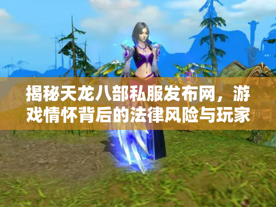 揭秘天龙八部私服发布网，游戏情怀背后的法律风险与玩家选择