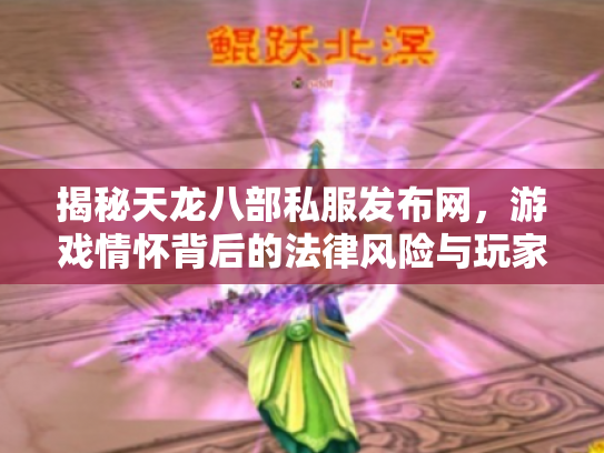 揭秘天龙八部私服发布网，游戏情怀背后的法律风险与玩家选择