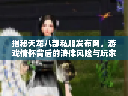 揭秘天龙八部私服发布网，游戏情怀背后的法律风险与玩家选择
