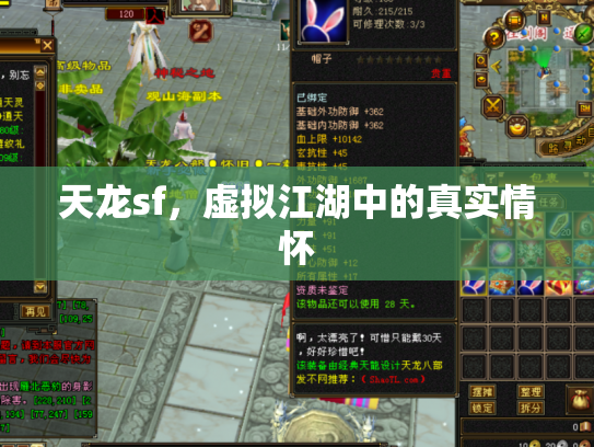 天龙sf，虚拟江湖中的真实情怀