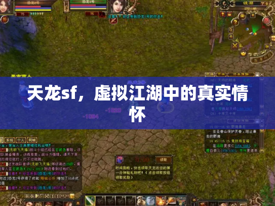 天龙sf，虚拟江湖中的真实情怀